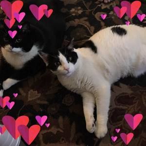 Meet your Posher, April